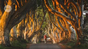 Rejuvenate Your Spirit: Embrace Nature’s Healing Embrace