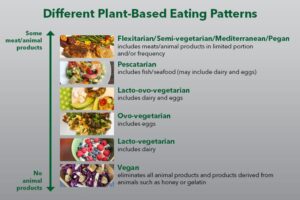 Easy Guide to Plant-Based Eating: A Beginner’s Journey!