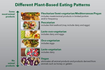 Easy Guide to Plant-Based Eating: A Beginner’s Journey!
