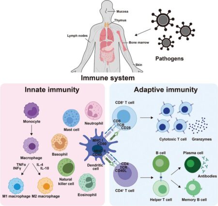 Boost Your Immune System Naturally All Year Round!