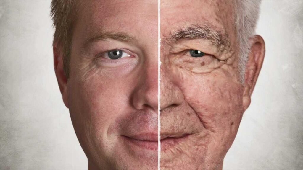 Understanding Aging: Scientific Insights to Slow Its Progress