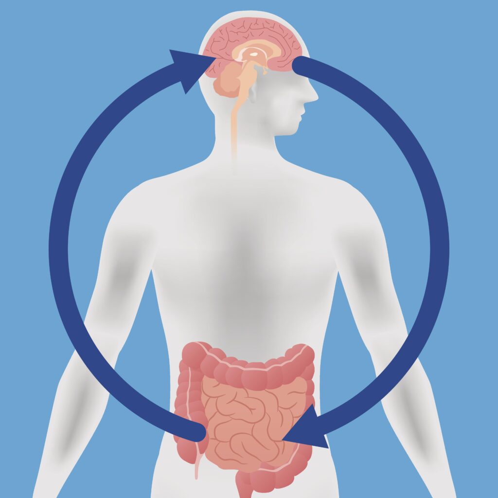 Exploring the Science Behind the Gut-Brain Connection