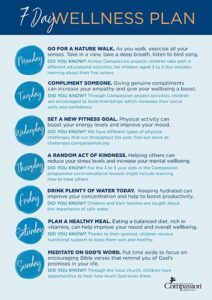 Embrace Your Cycle: Crafting a Wellness Plan for Women