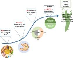 Unlocking the Secrets of Aging: Science and Strategies to Slow Down