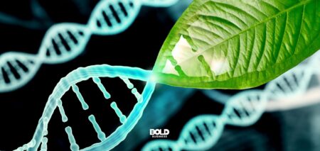 Unlocking the Future: Longevity Science’s Role in Wellness