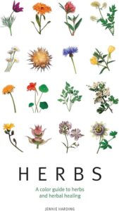 Grow Your Own Healing Herbs at Home for Better Health