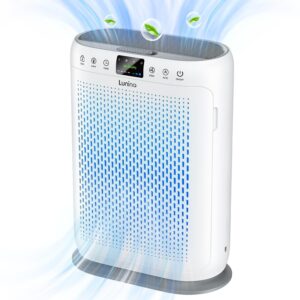 Top Air Purifiers for Maintaining Clean Air in Your Home Gym
