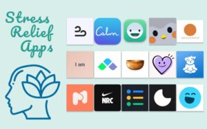 Top Meditation Apps for Beginners: A Comprehensive Review