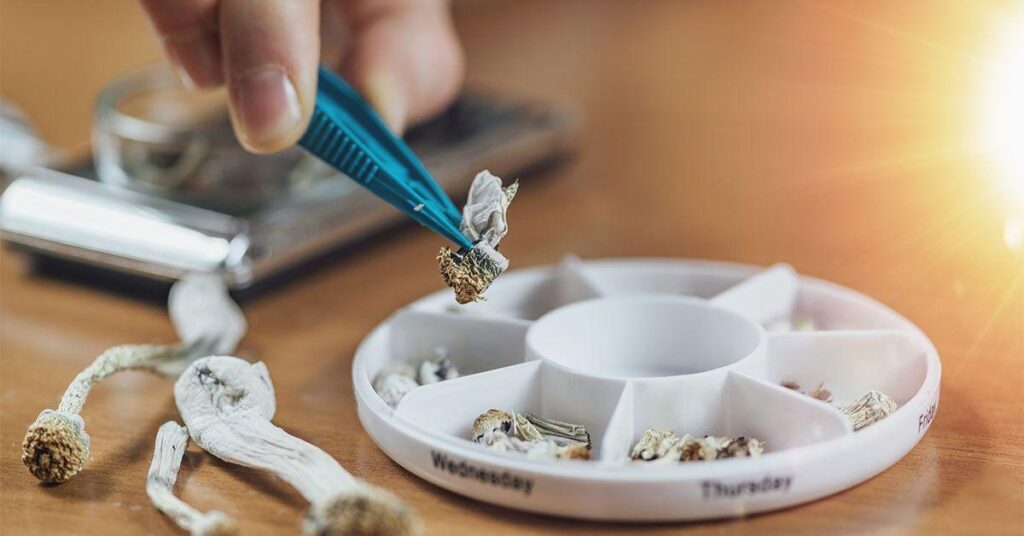 Microdosing Psilocybin: Rising Trend in Mental Health Treatment