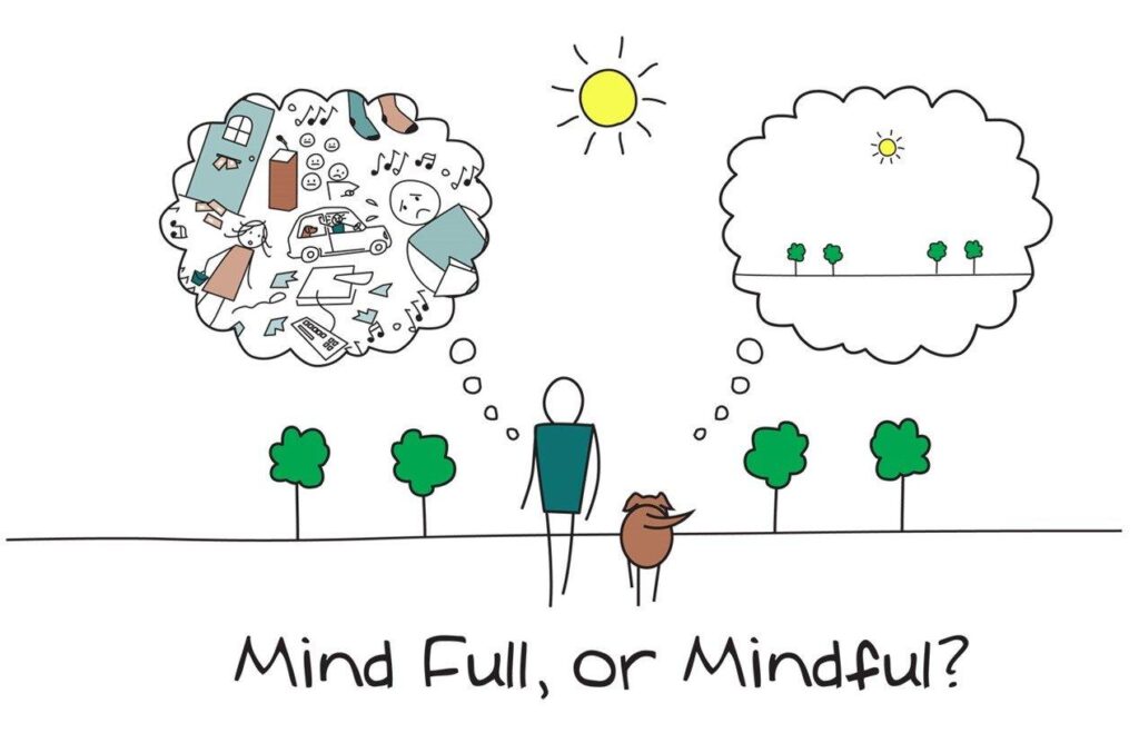 Unlocking Longevity: Mindfulness as a Key to Healthy Aging