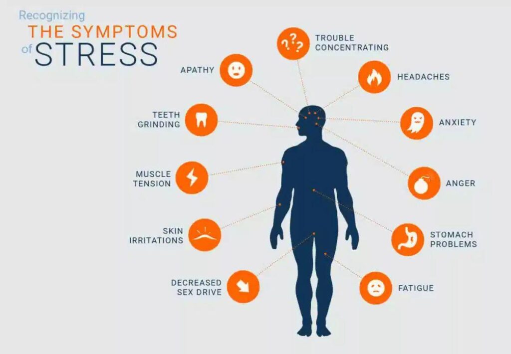 Unraveling the Link: Chronic Stress and Aging Effects