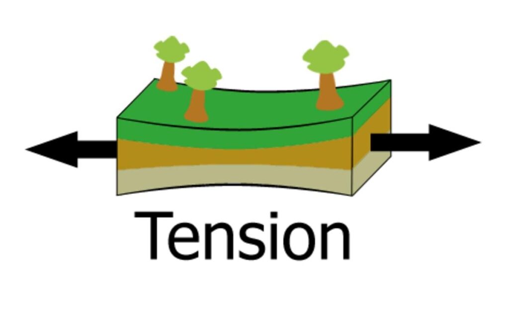 Transforming Tension into Trust: Rebuilding Bodily Safety