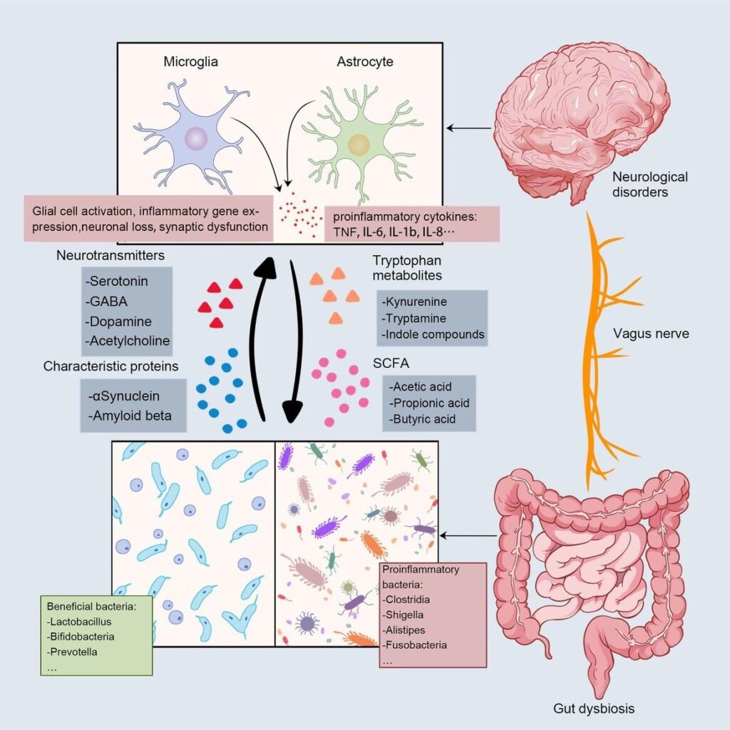 Unlocking Happiness: The Gut-Mind Connection Revealed!