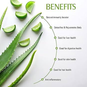 Unlocking Aloe Vera: Benefits for Skin and Health