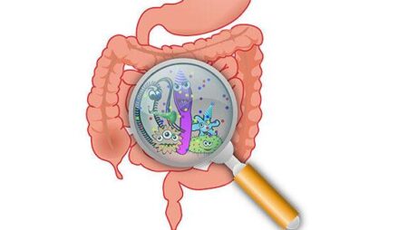 Understanding Aging and Gut Health: Key Insights for Wellness