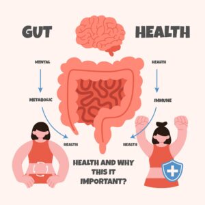 Exploring the Link Between Gut Health and Nutrition