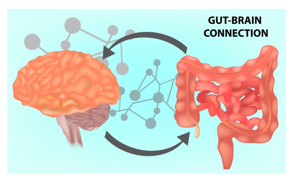 Understanding the Gut-Brain Connection: Insights and Impacts