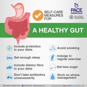 Unlocking Gut Health: The Basics and Why They Matter
