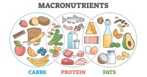 Understanding Macronutrients: Key to a Balanced Diet
