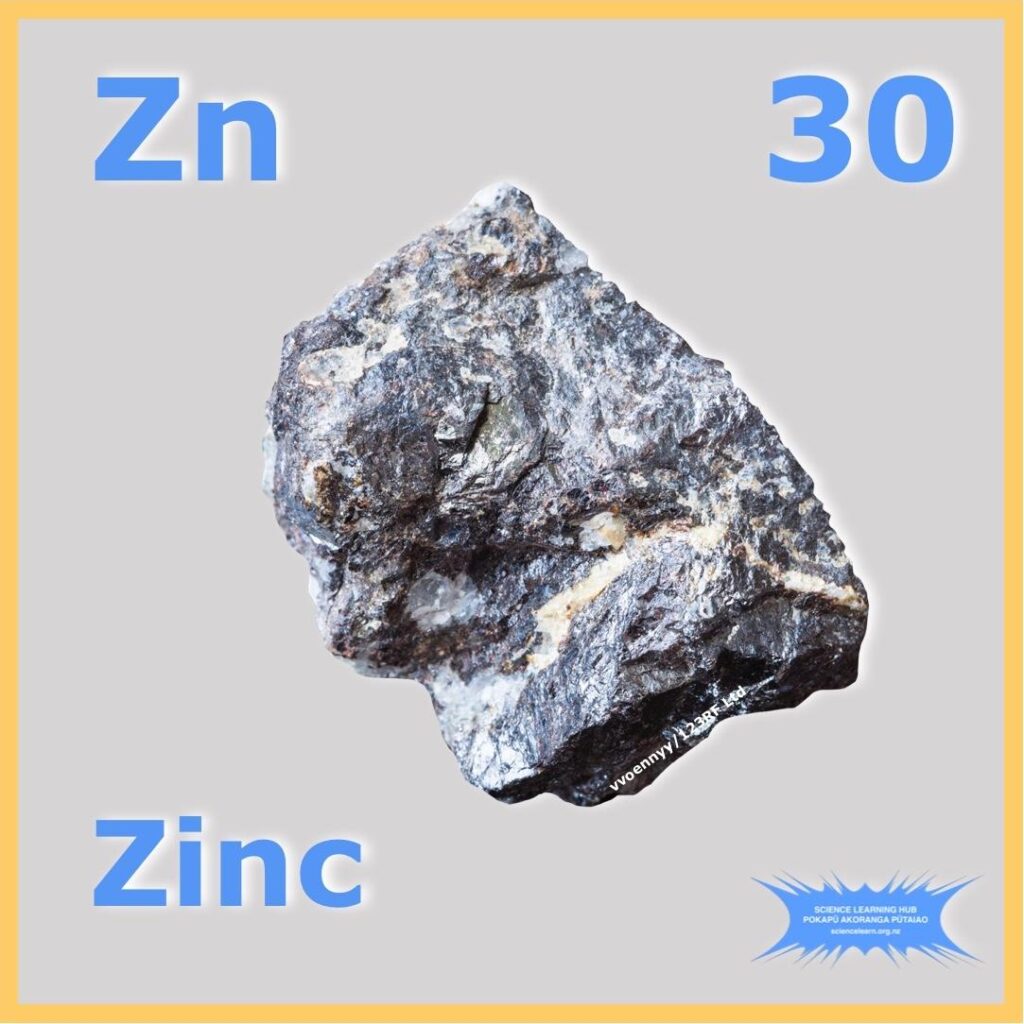 Understanding Zinc’s Essential Role in Immune Health